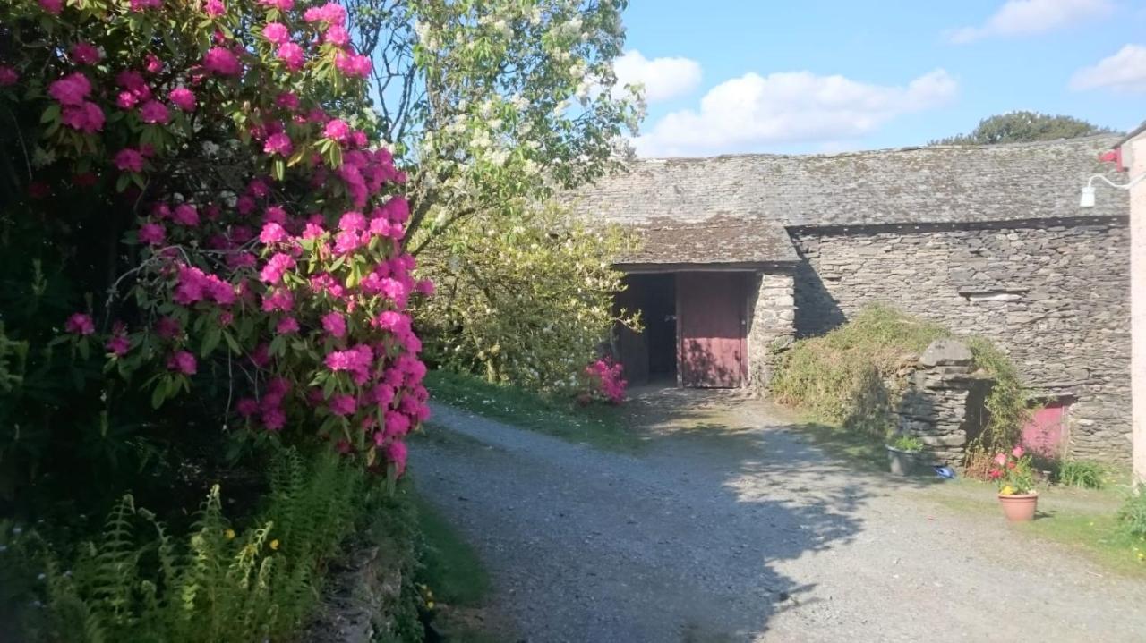 Low House Farm North, Troutbeck, วินเดอร์เมียร์ ภายนอก รูปภาพ